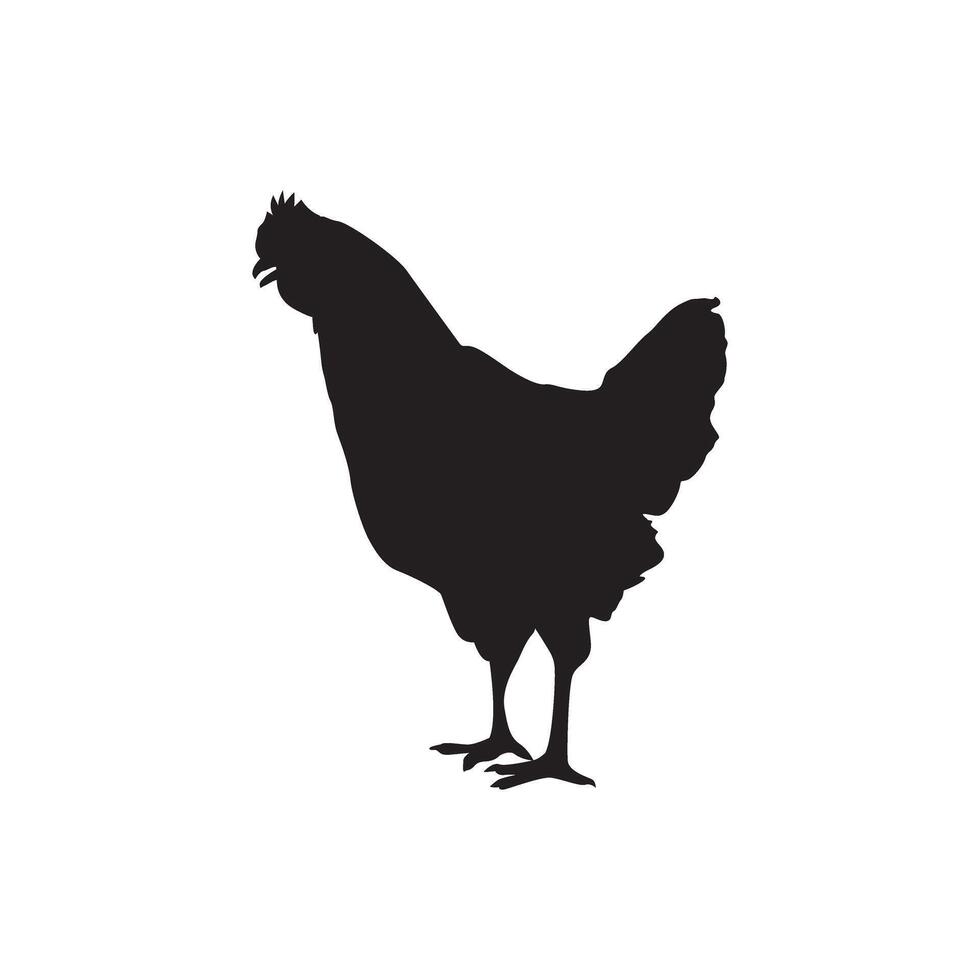 silhouette chicken monochrome color vector