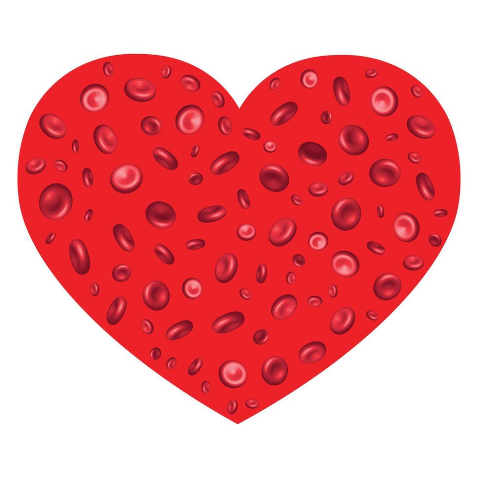 Special heart design with red blood cells vector