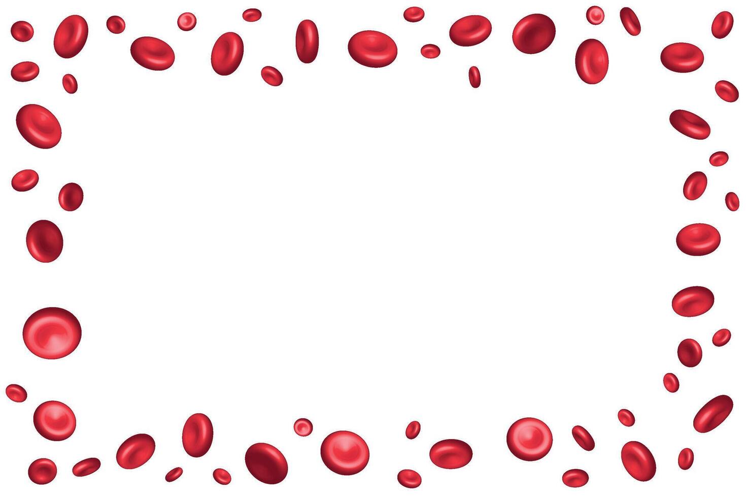 Frame of red blood cells on a white background vector