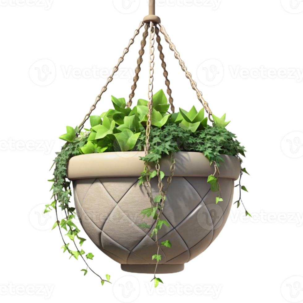 dramatic minimalist Hanging Planter with Ivy Cutout Trailing Vines authentic png