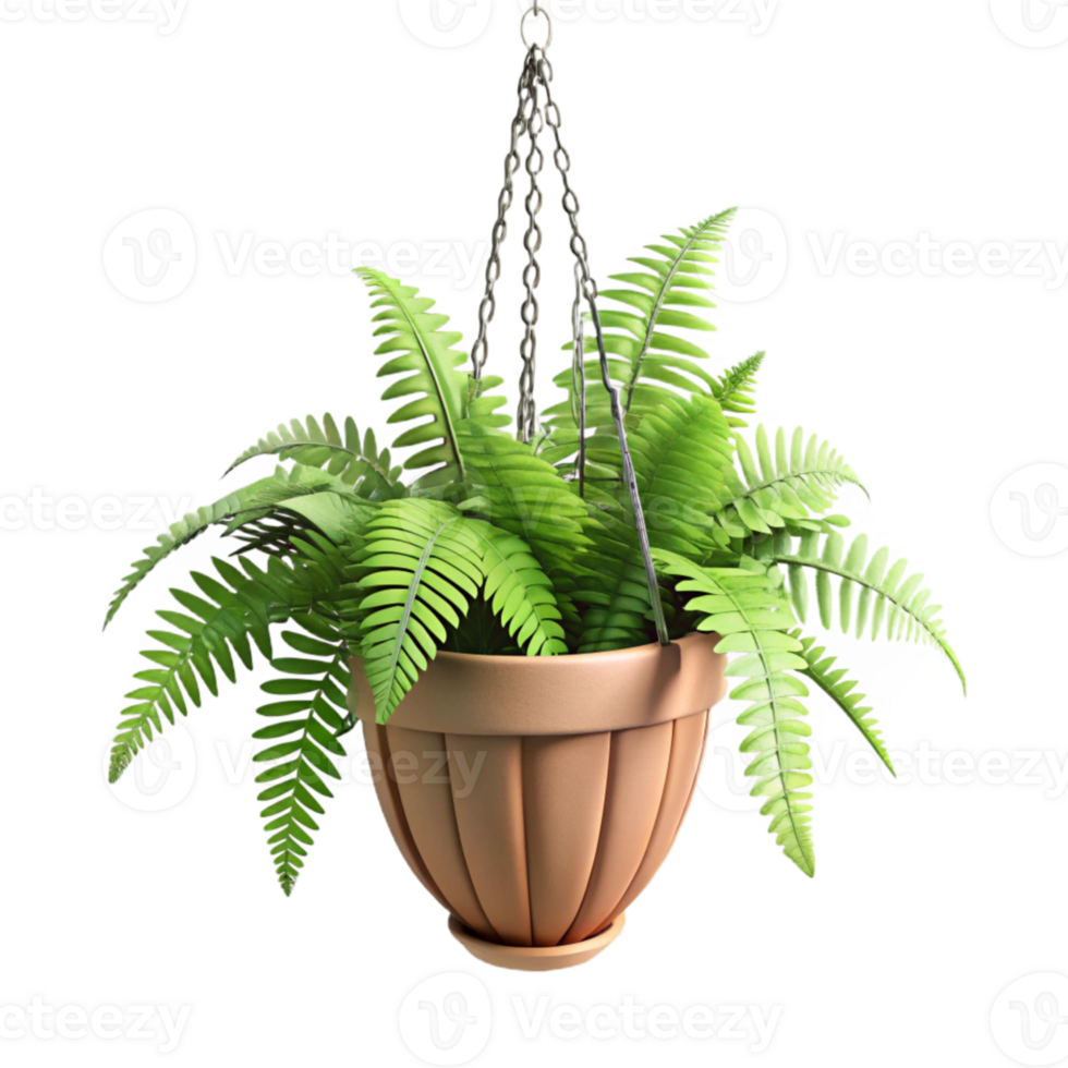 wonderful rustic Hanging Planter with Ferns Cutout Green Fronds genuine png
