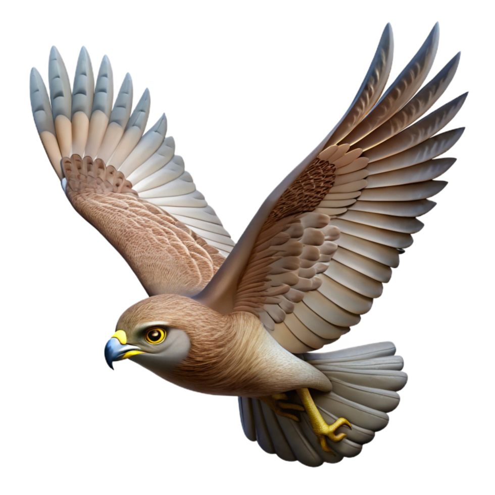 serene creative Hawk Flying in Circles Isolated Element high resolution png