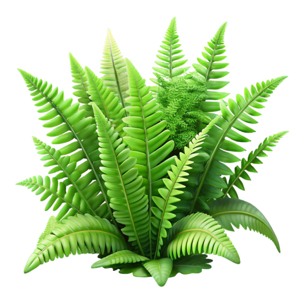 impressive artistic Hidden Spring Ferns Lush Green Isolated professional png