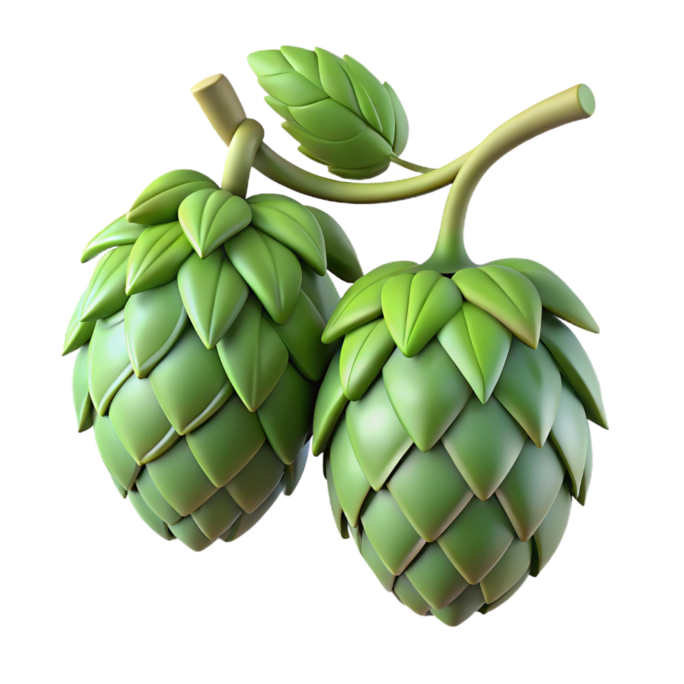 elegant traditional Hops Cones on Vine Isolated Element original png