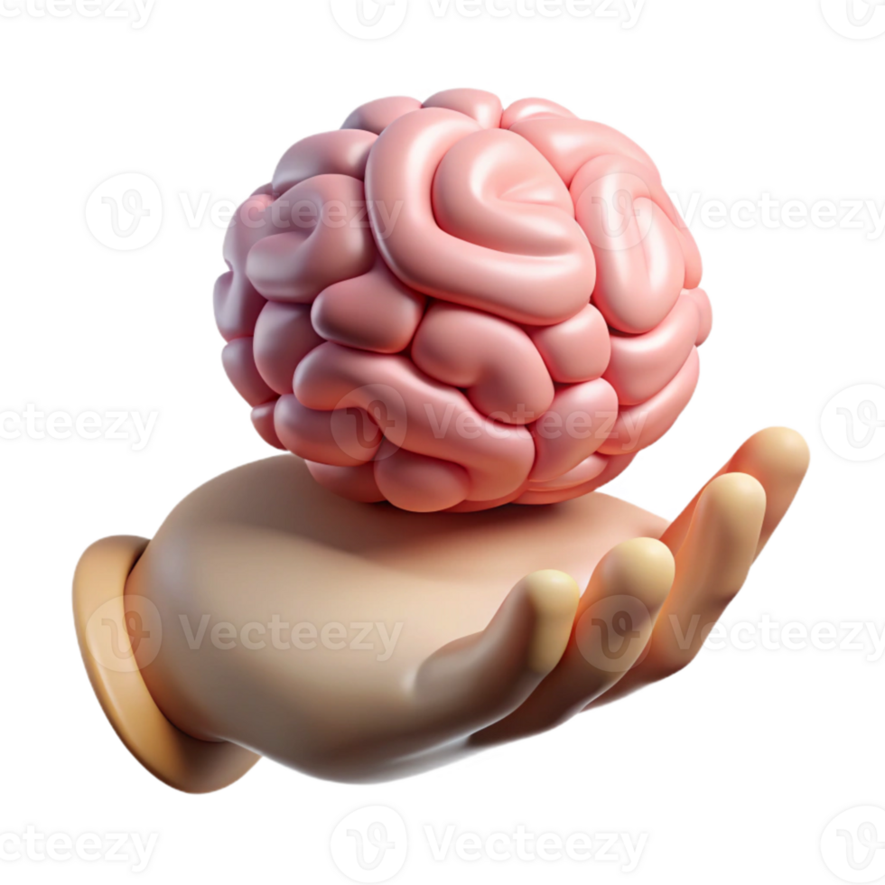 beautiful classic Human Hand Holding Brain Model Transparent original png