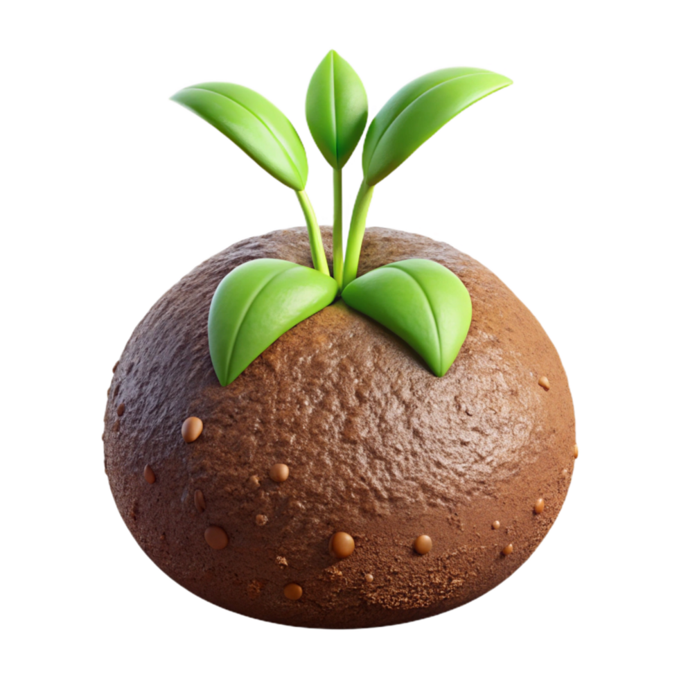 extraordinary traditional Hydroponic Grow Media Coco Coir Transparent Background exclusive png