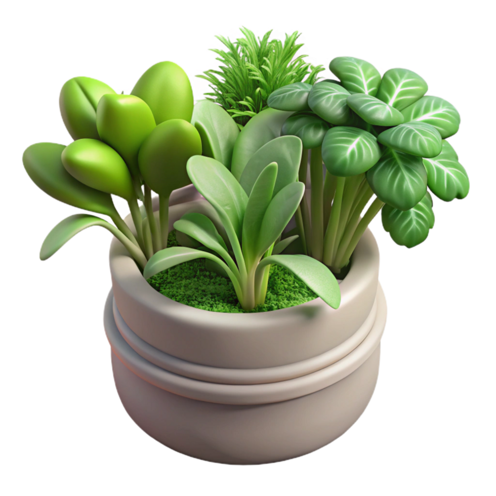 wonderful classic Hydroponic Herbs Variety Pack Isolated Cutout png