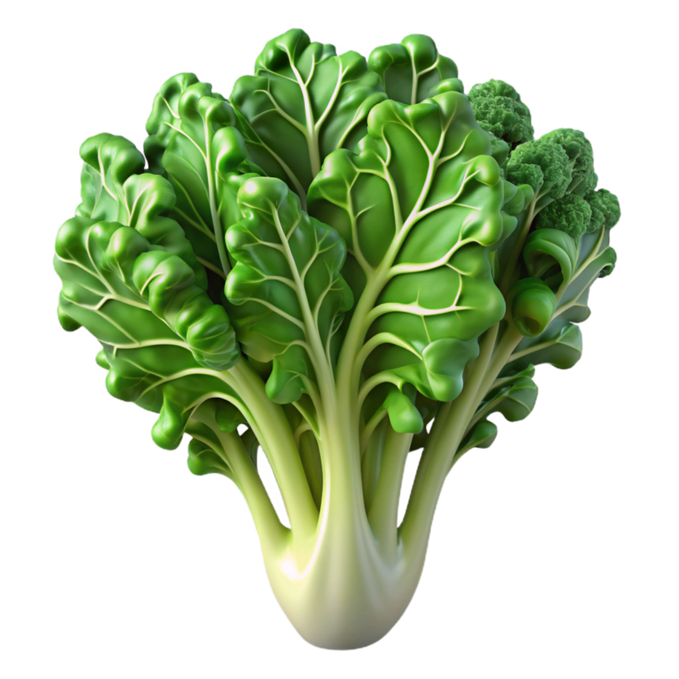 extraordinary traditional Hydroponic Kale Curly Leaves Transparent Background high quality png