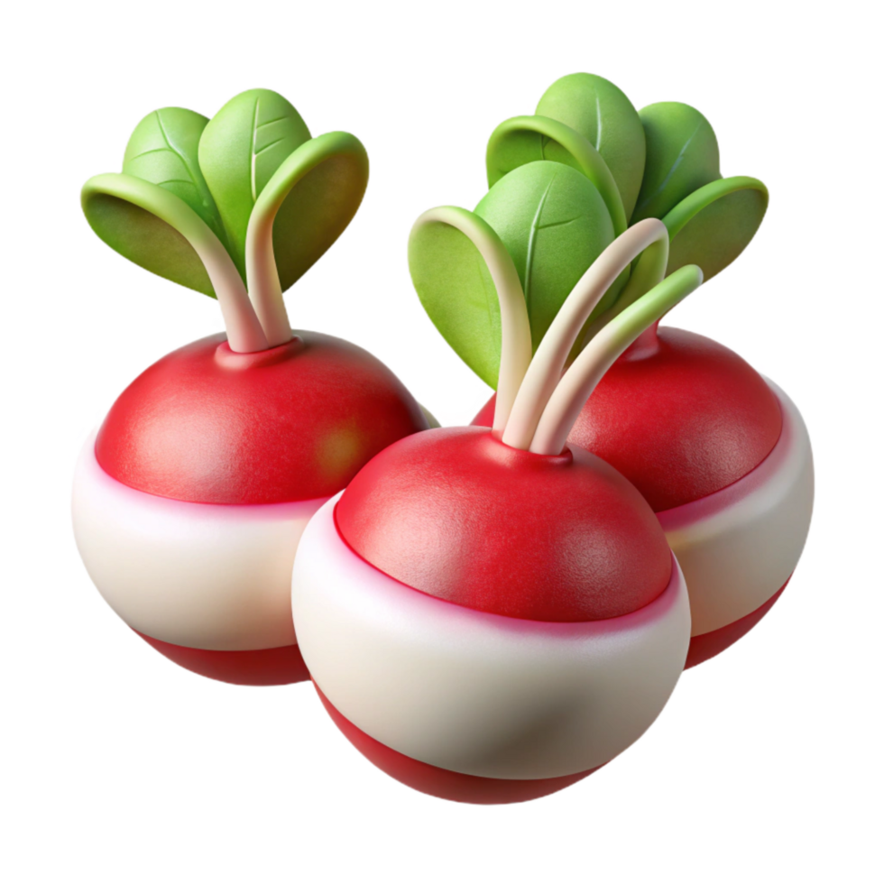 impressive traditional Hydroponic Radishes Red and White Isolated Cutout Element premium png