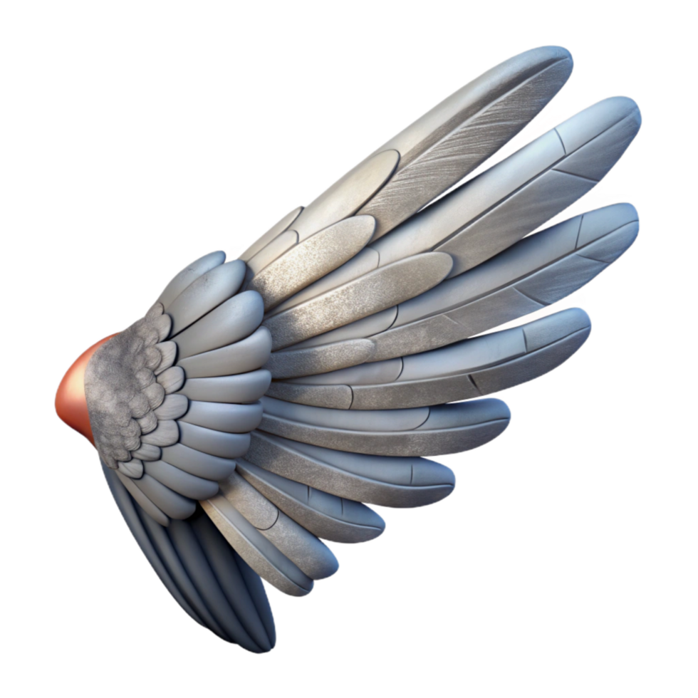 impressive creative Injured Bird Wing X Ray View Transparent Background genuine png
