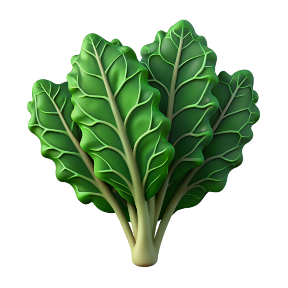 wonderful minimalist Kale Leaves Dark Green Cutout exclusive png