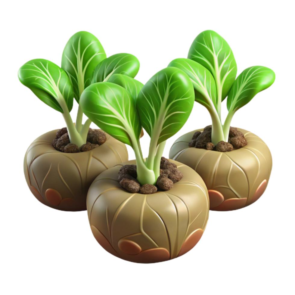 dramatic rustic Lettuce Seedling Green Sprouts Isolated genuine png