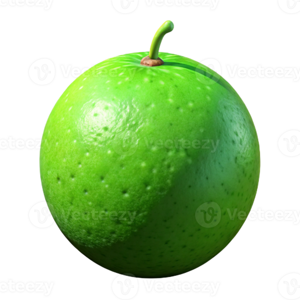vibrant vintage Lime Fruit Green Color Isolated exclusive png