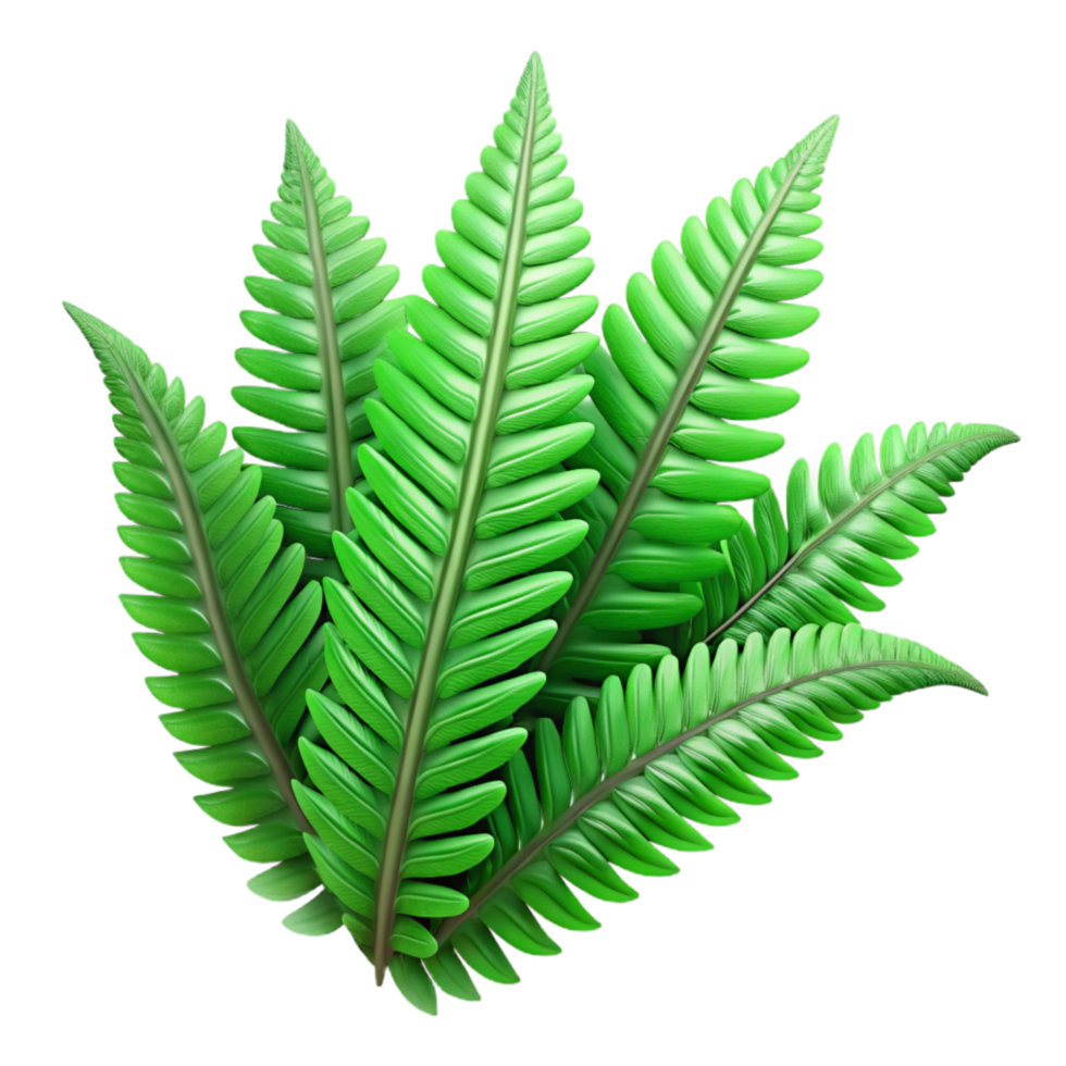 beautiful artistic Lush Green Fern Fronds Detailed Texture genuine png