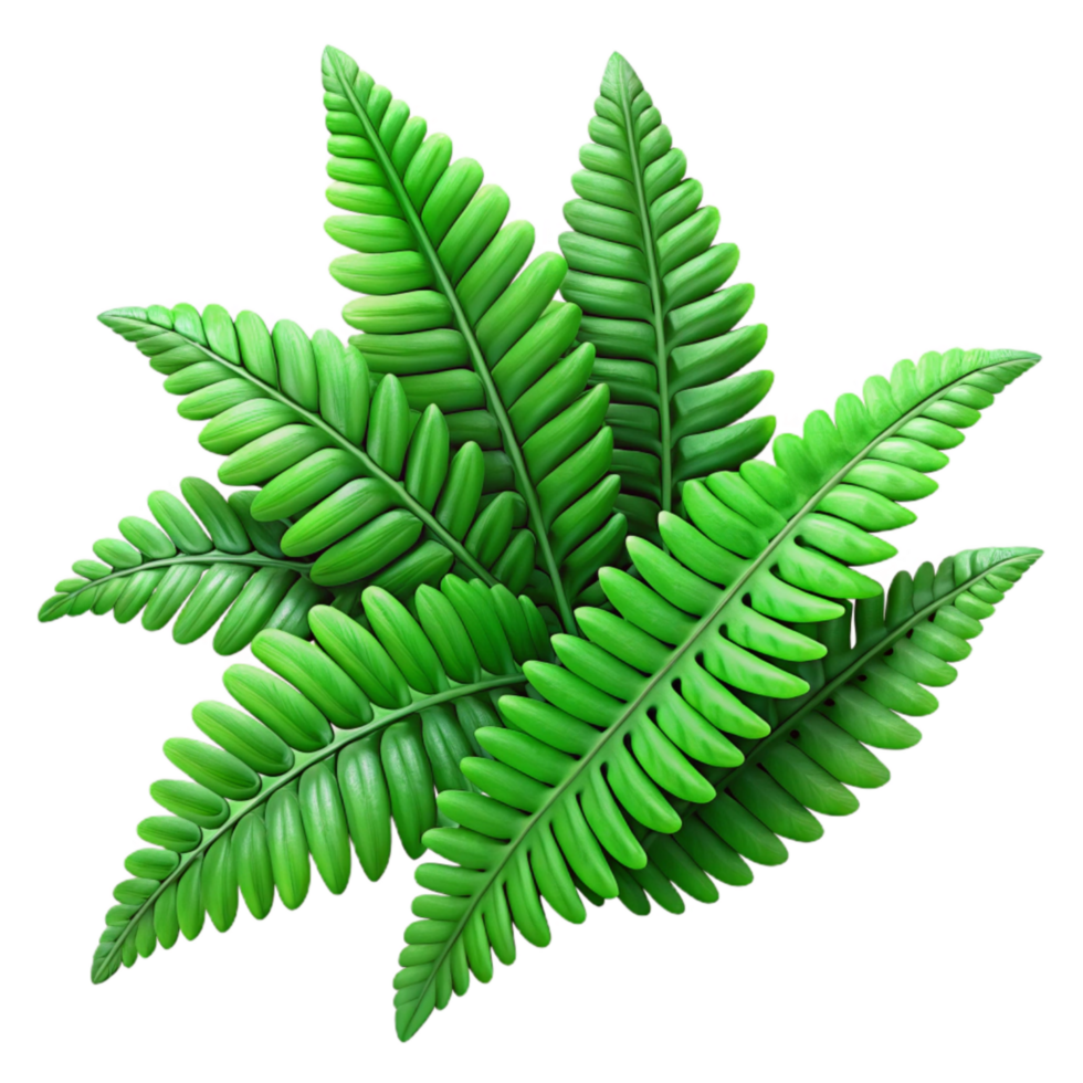 stunning abstract Lush Green Fern Fronds Detailed Texture png