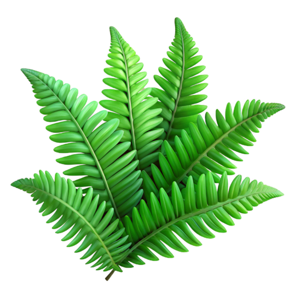 extraordinary minimalist Lush Green Fern Fronds Detailed Texture original png