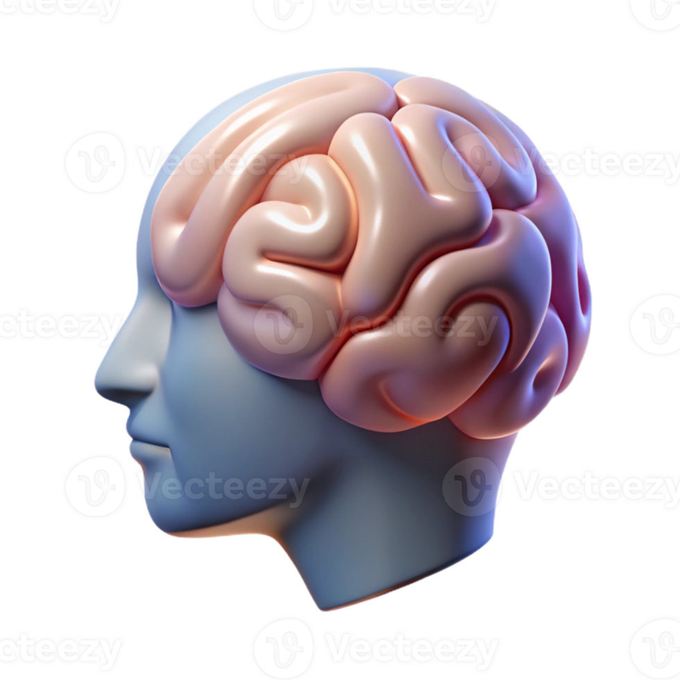 extraordinary classic Mental Health Icon with Brain Silhouette Transparent Background genuine png