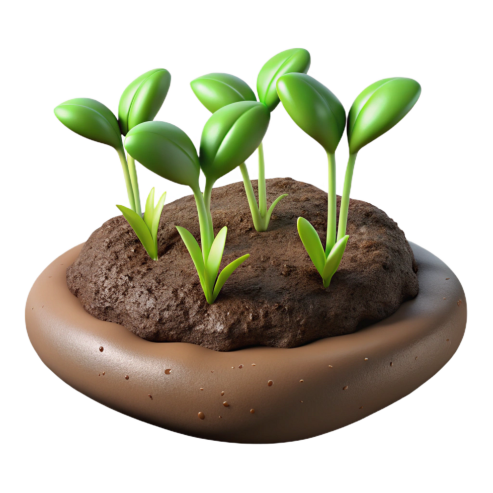 magnificent contemporary Microgreens Growing in Soil Close Up Transparent Background png