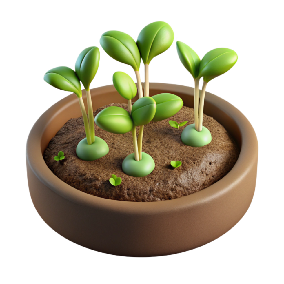 wonderful creative Microgreens Growing in Soil Close Up Transparent Background genuine png