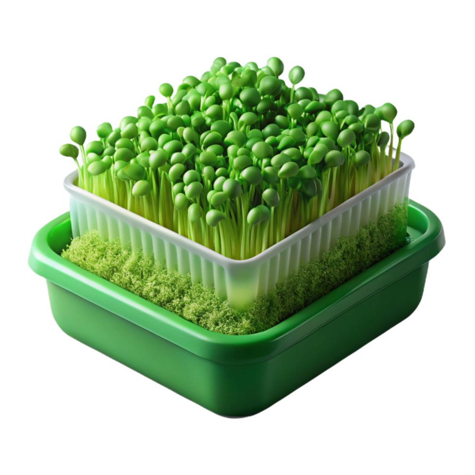 beautiful abstract Microgreens Tray Bright Green Transparent high quality png