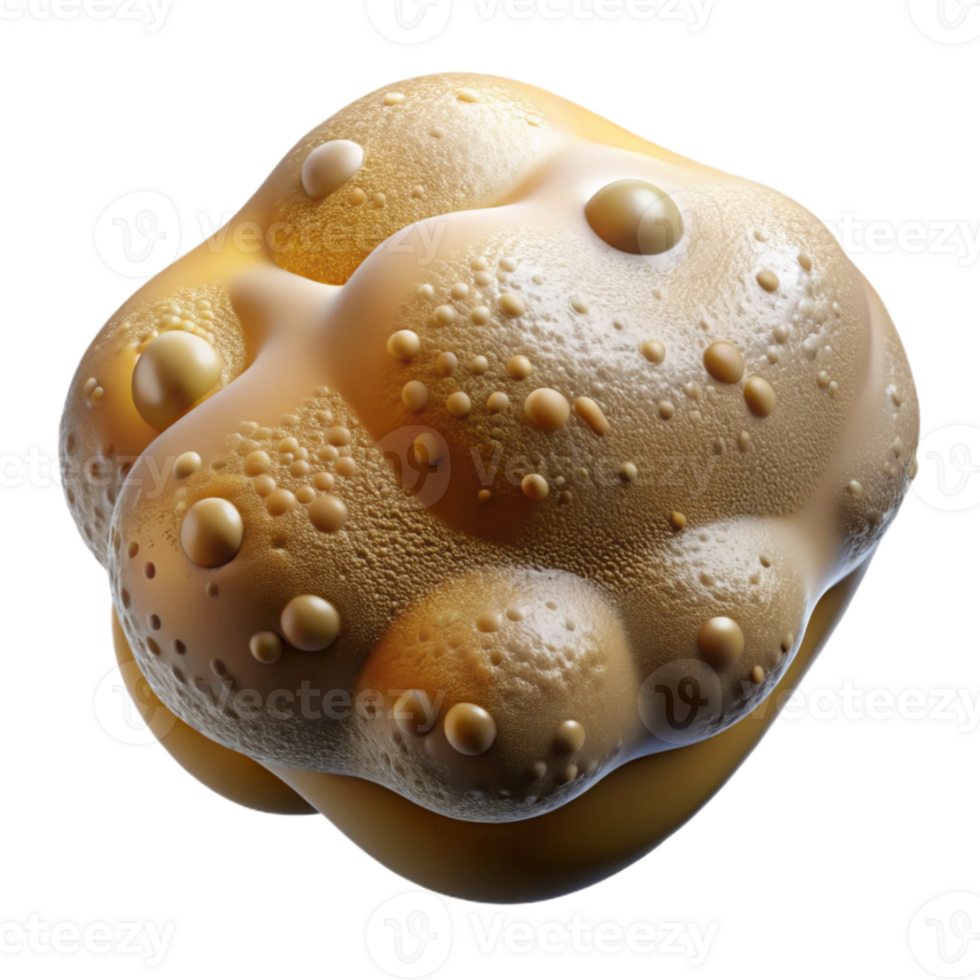 serene classic Microscopic View of Beer Yeast Transparent Background high quality png