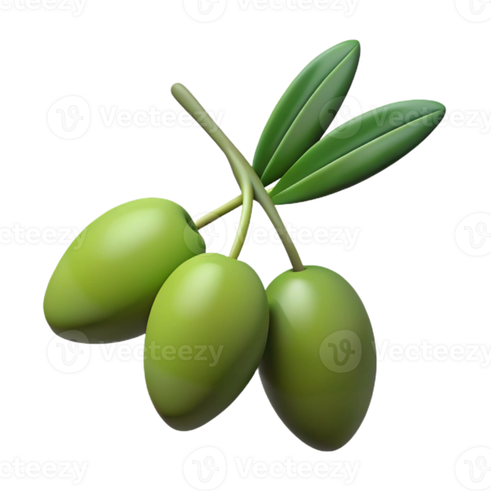 wonderful contemporary Olive Branch with Olives Green Olives detailed png