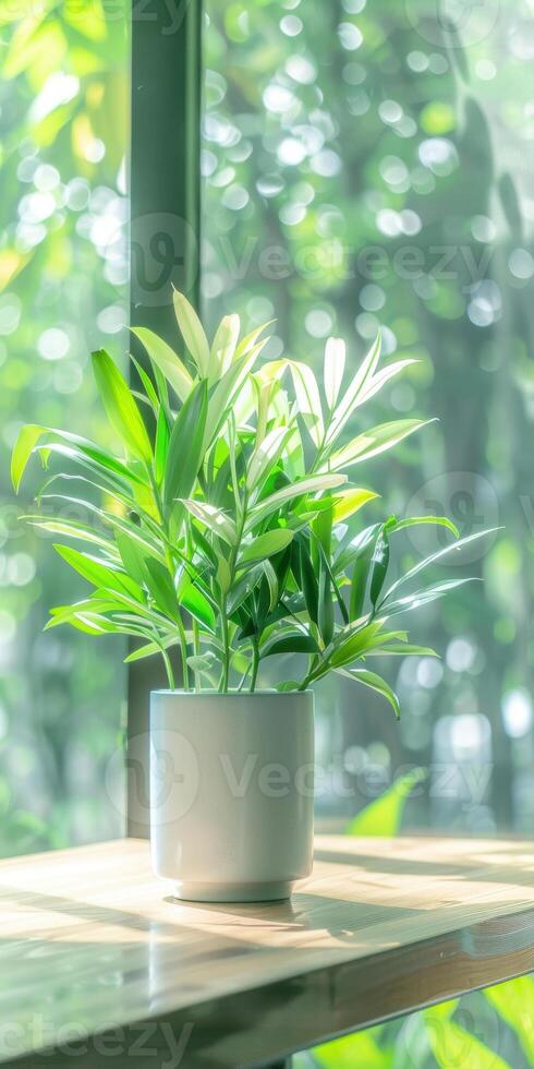 Vibrant green houseplant in white pot by sunlit window with soft focus background photo