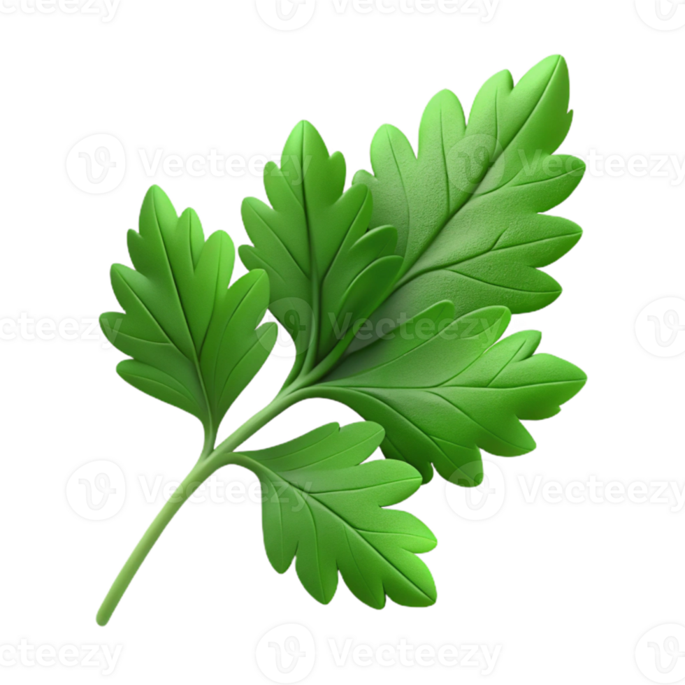 dramatic minimalist Parsley Leaves Flat Leaf Variety png