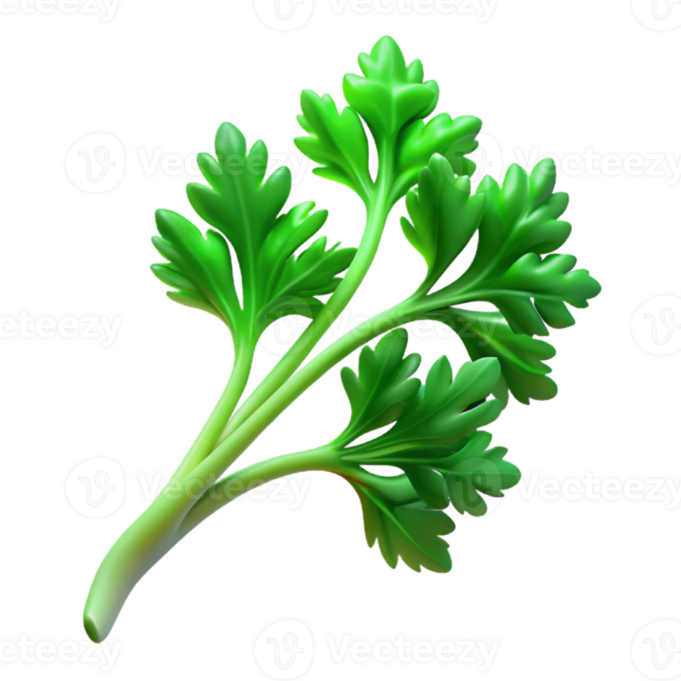 dramatic abstract Parsley Sprig Green Curly Isolated Cutout high resolution png
