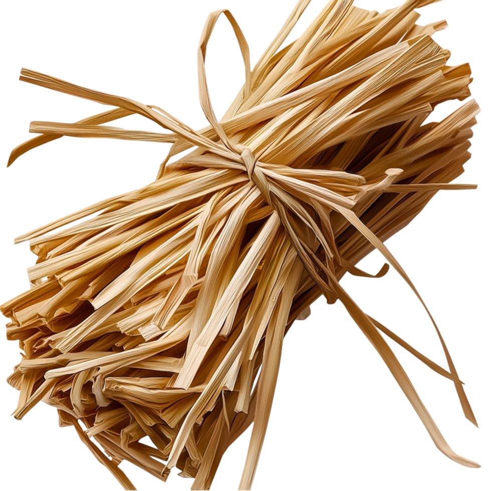 Bundle of dried straw tied together in a natural rustic look png