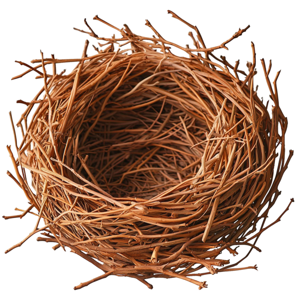 Empty bird nest made of carefully woven twigs branches png