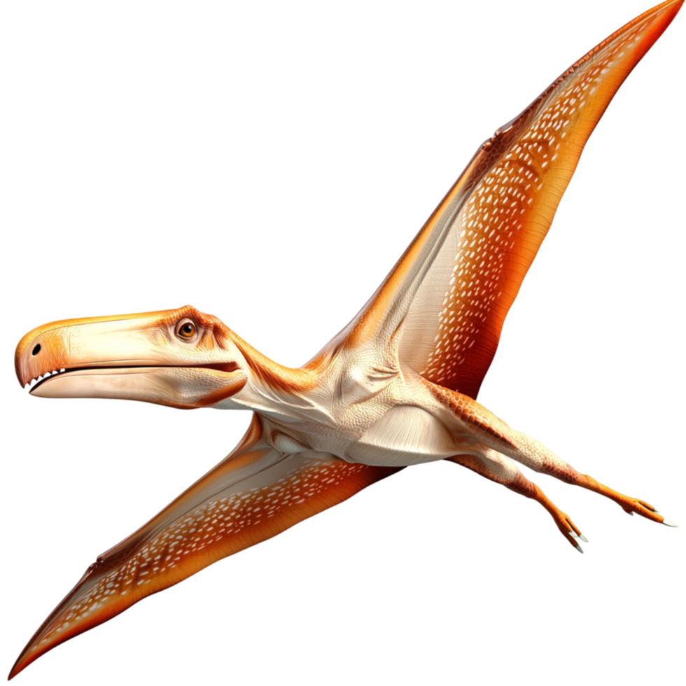 Large flying pterosaur wide wings sharp beak png