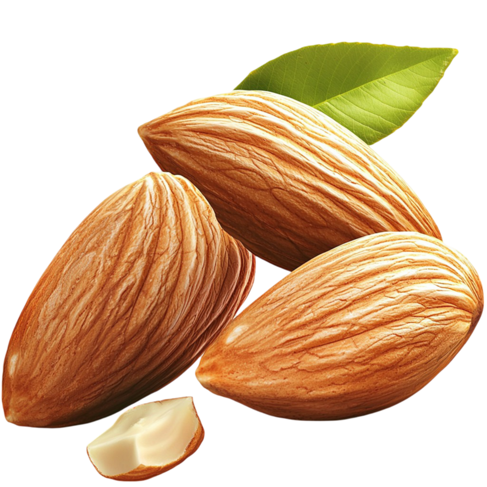 Raw almonds a brown shell a small piece cracked open png
