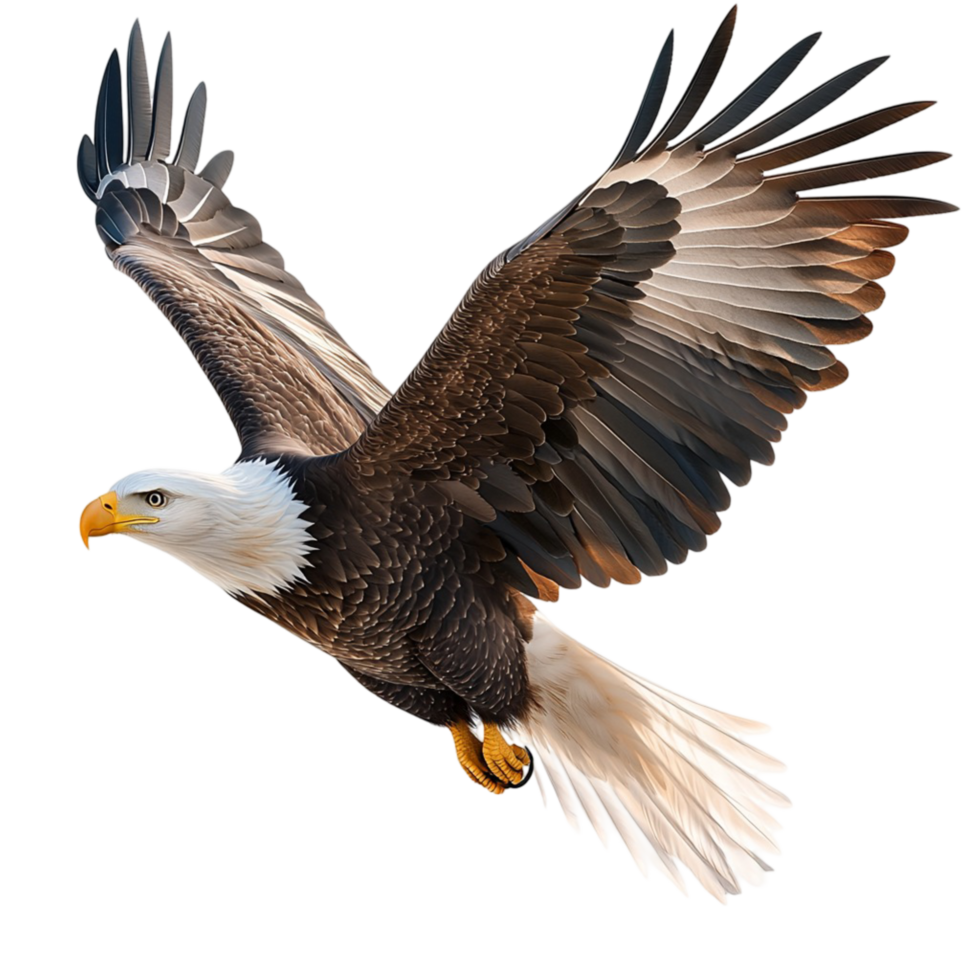 Majestic bald eagle flying wings spread wide sharp focused eyes png