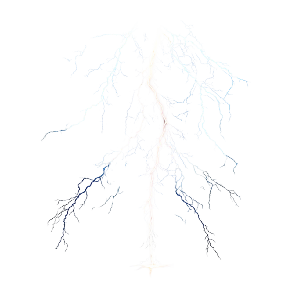 Delicate white tree roots an intricate branching pattern png