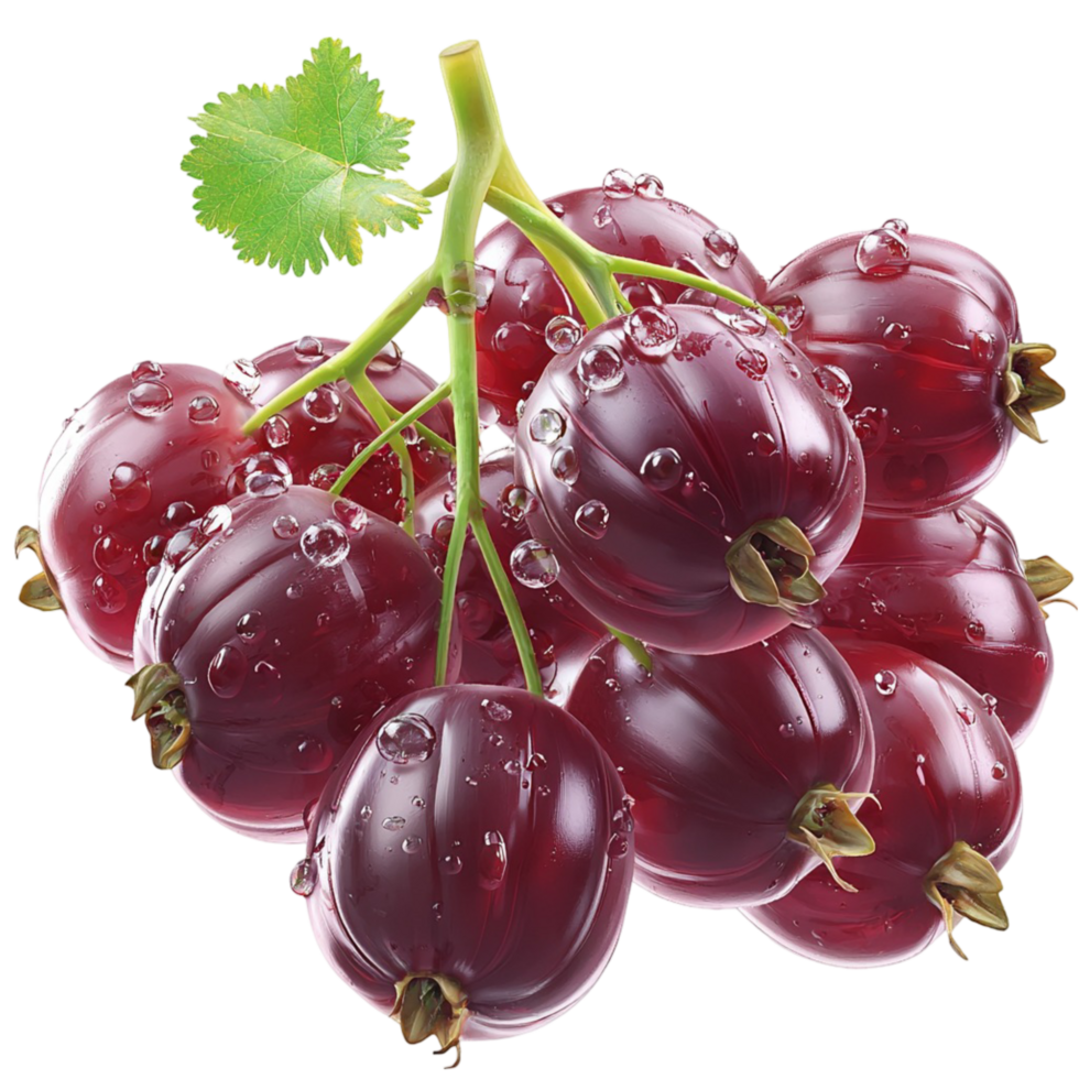 Cluster of ripe red currants covered in tiny water droplets png