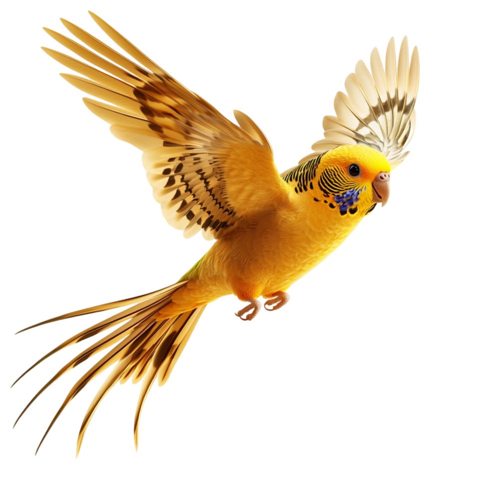 Vibrant yellow bird in midflight detailed feathers png