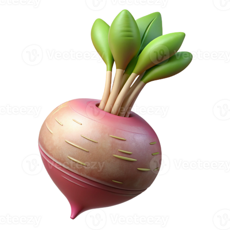 dramatic vintage Radish Root White Background high resolution png