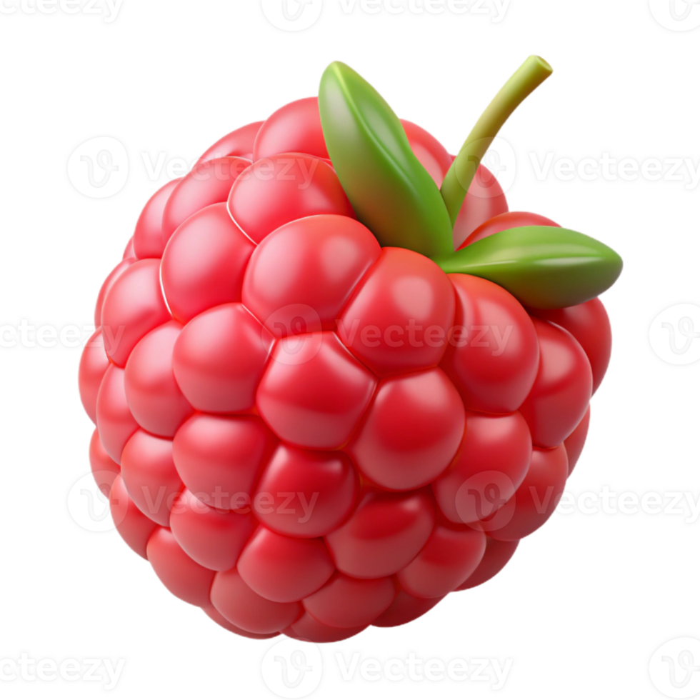 elegant minimalist Raspberry Fruit Red Color Isolated png