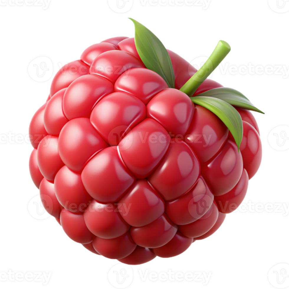 magnificent classic Raspberry Fruit Red Color Isolated genuine png