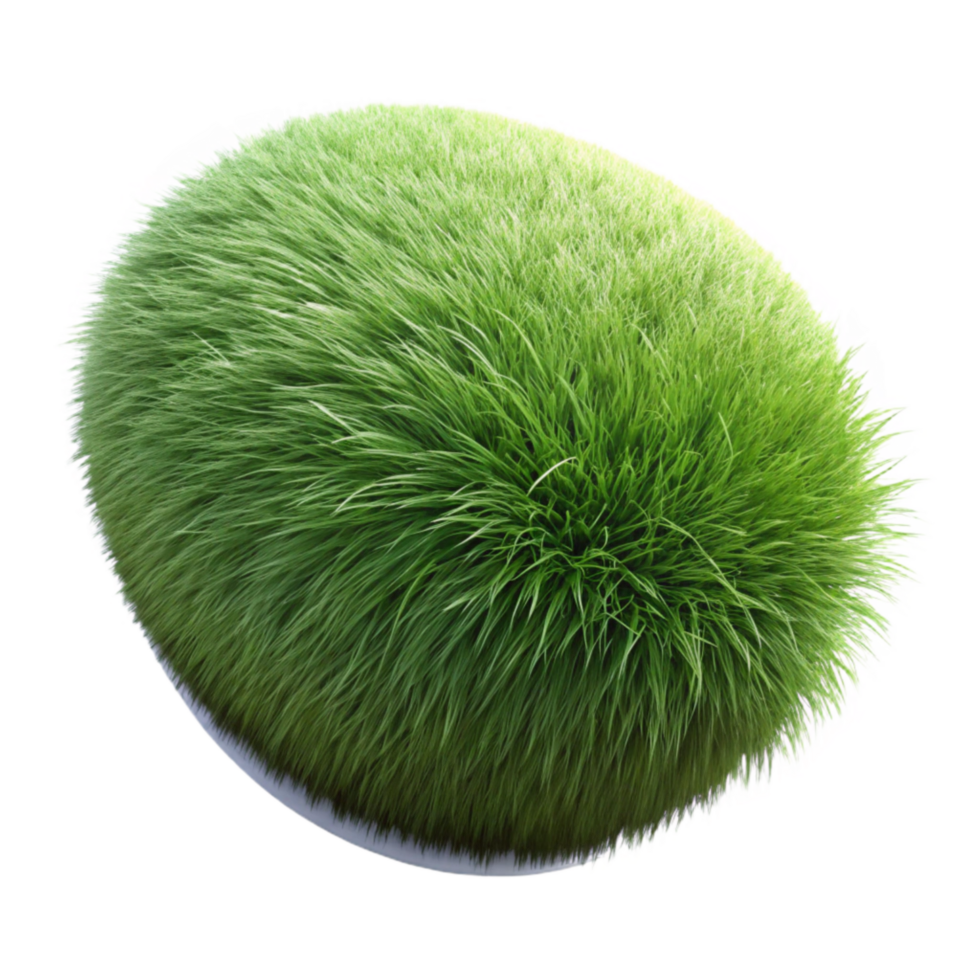 serene minimalist Realistic Grass Texture Cutout high resolution png