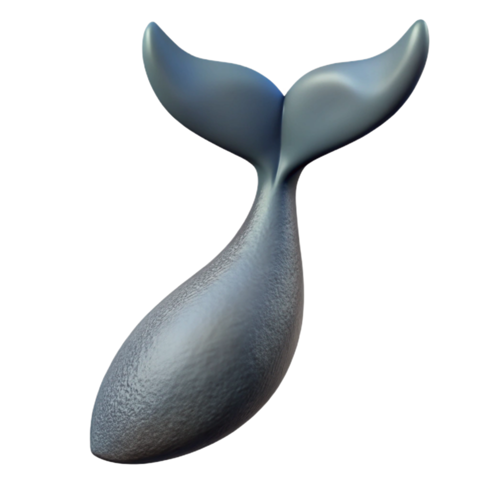 wonderful modern Realistic Whale Tail original png