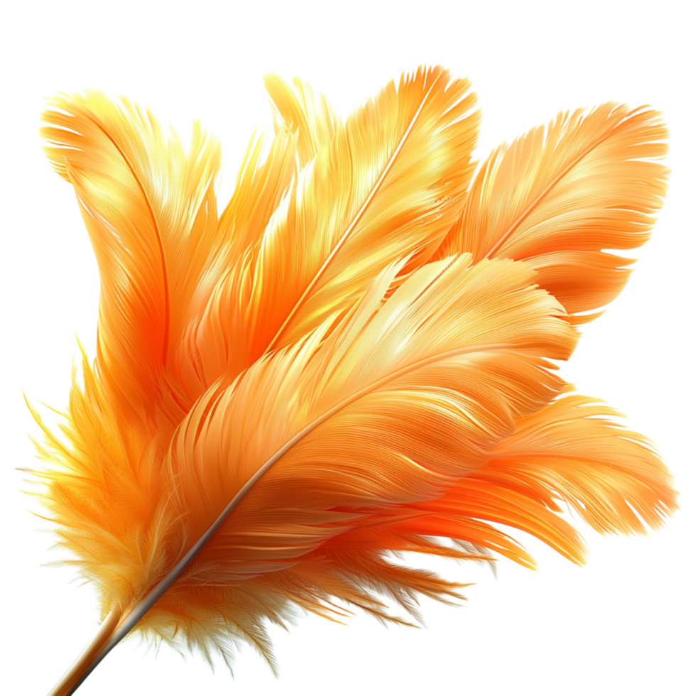 Vibrant orange feather delicate strs texture png