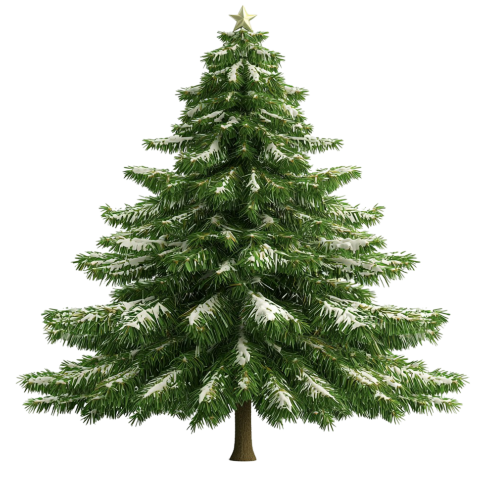 Lush evergreen pine tree full branches a vibrant green color sting tall png