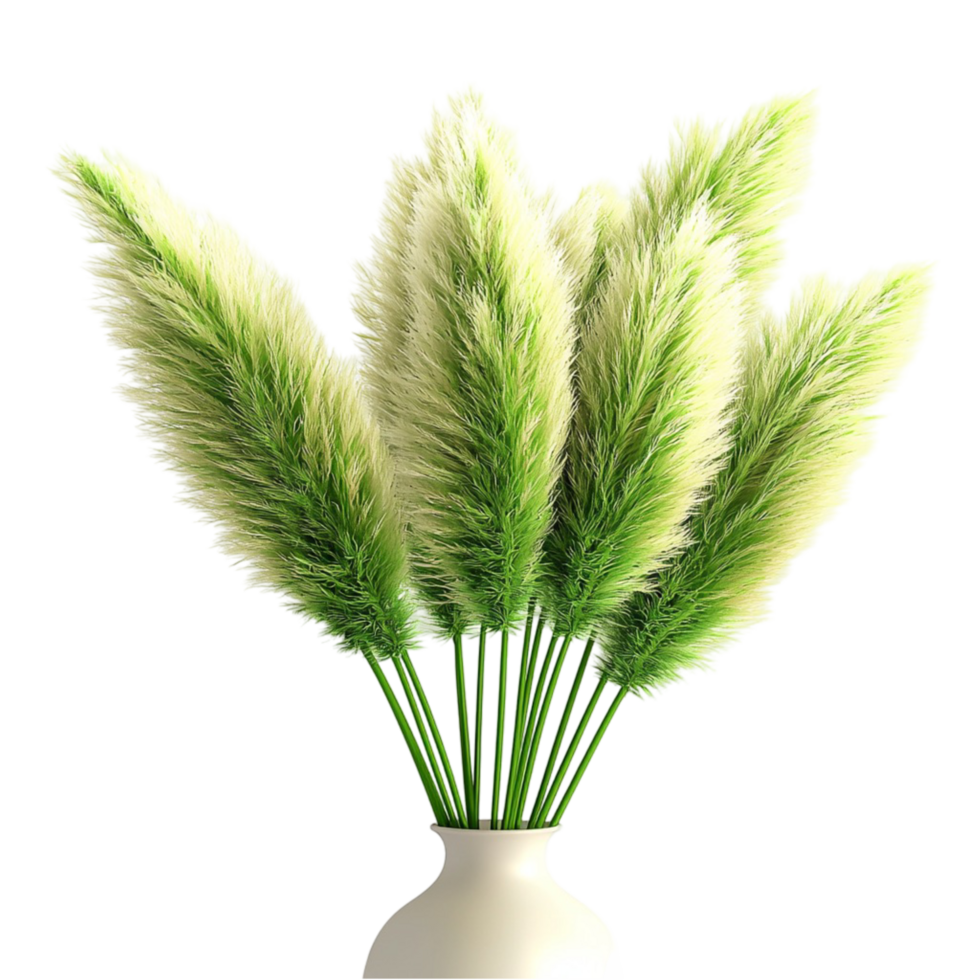 green pampas grass in a white ceramic vase feathery plumes png
