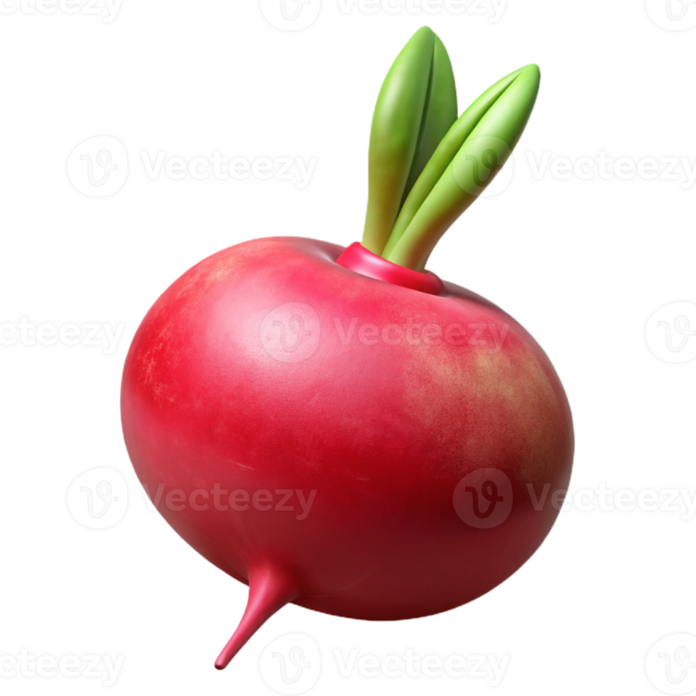 dramatic classic Red Radish Isolated White Background Transparent professional png