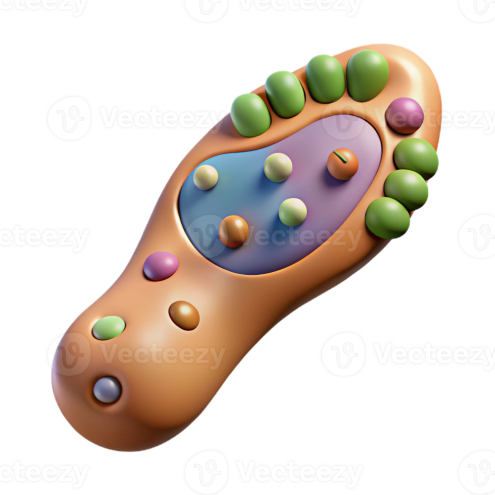 impressive abstract Reflexology Foot Chart Detailed Illustration Cutout high quality png