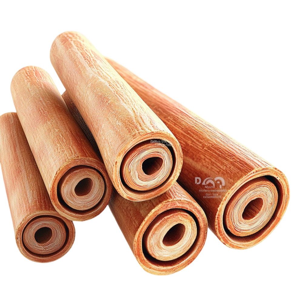 Rolled cinnamon sticks arranged in a neat bundle png