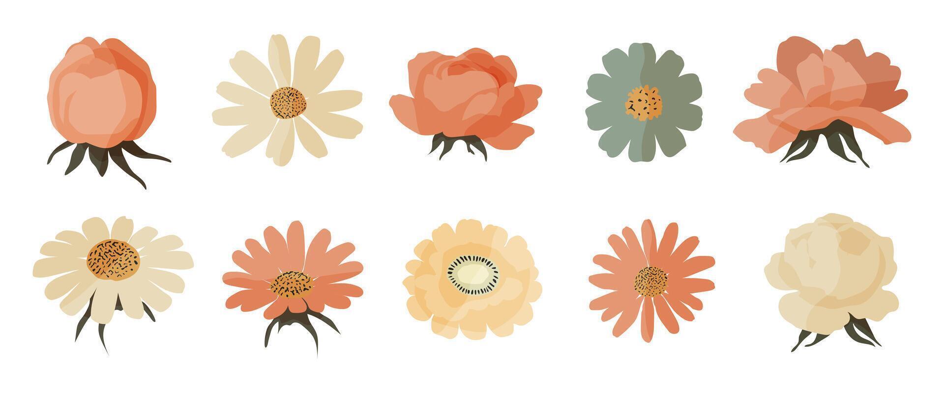A series of flower illustrations with a variety of colors and styles. The flowers are arranged in a row, with some overlapping each other. Scene is cheerful and colorful vector