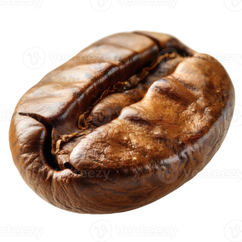 Roasted Coffee Bean Isolated on Transparent Background png